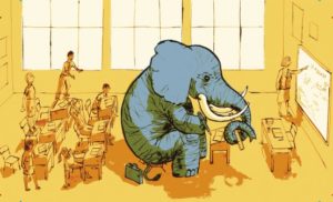 Elephant in the classroom